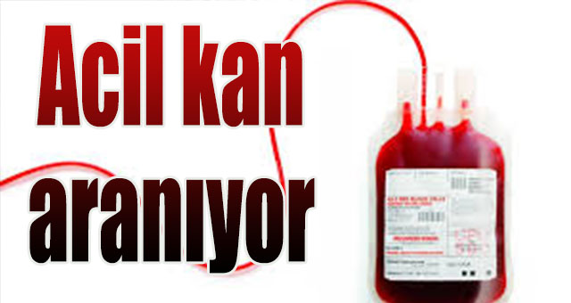 A Rh (+) kan aranıyor