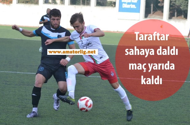 Taraftar sahaya girdi maç yarıda kaldı