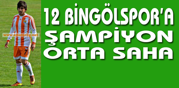 12 Bingölspor’dan bir bomba daha