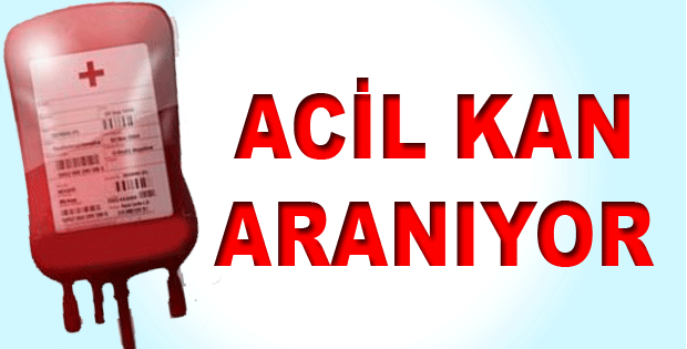 Necdet Cihangir’in Annesi için kan aranıyor